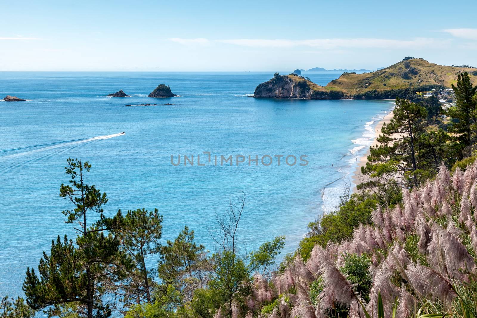 View towards Hahei