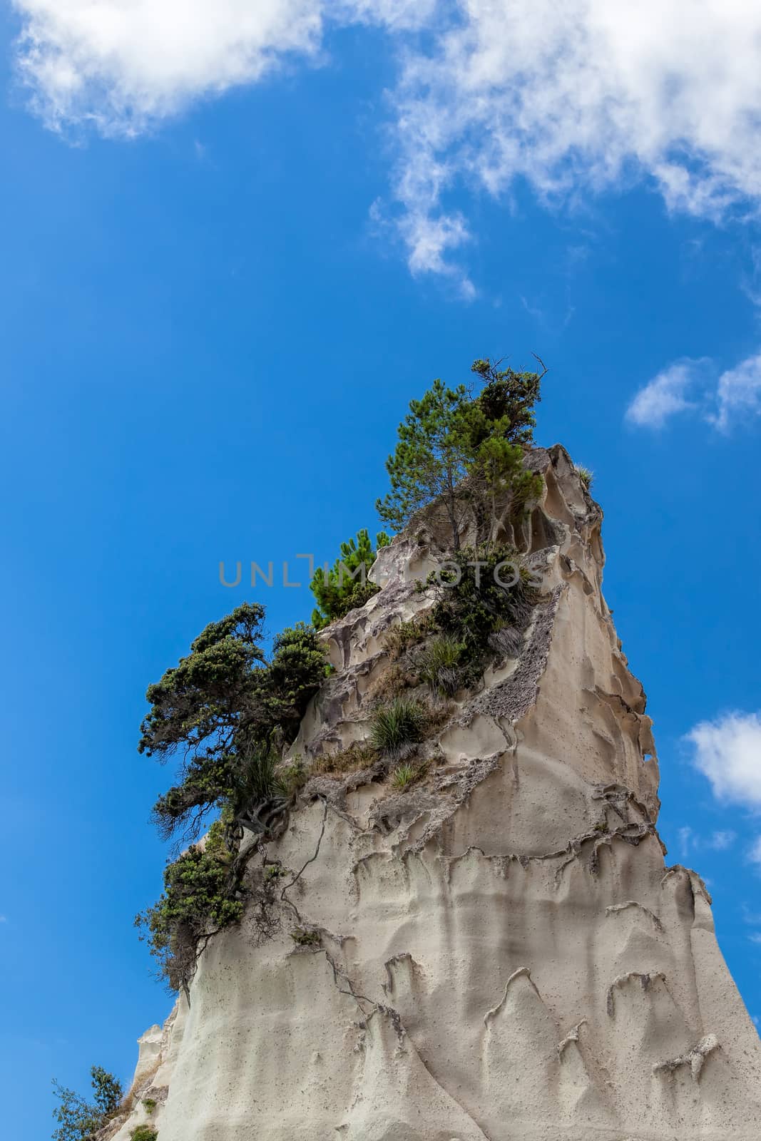 Cathedral Cove Coromandel Peninsula