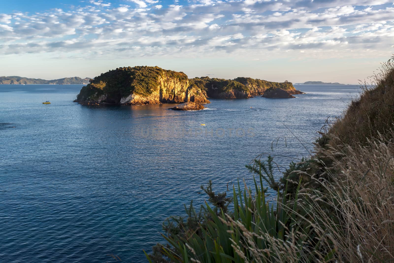 Coromandel coastline