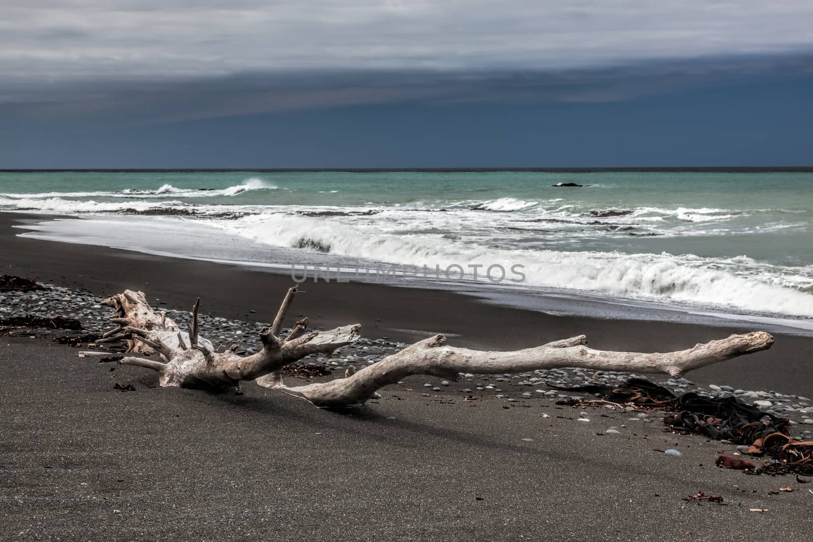 Driftwood on Rarangi beach by phil_bird