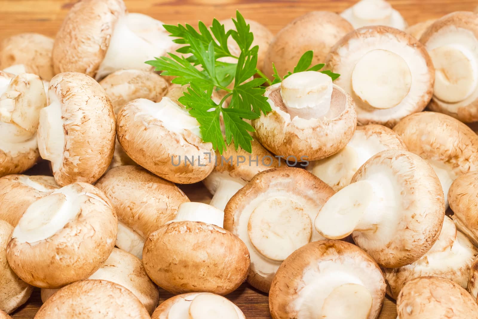 Pile of the whole uncooked edible mushrooms with twig of the parsley on a wooden surface
