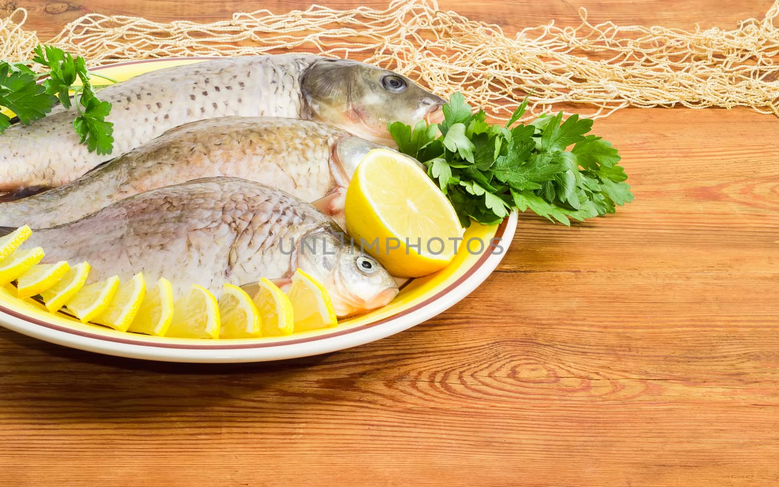 Fragment of a yellow dish with carp and crucians different sizes with peeled scales and prepared for cooking and parsley twigs and part of the fishing net on a surface of the old wooden planks
