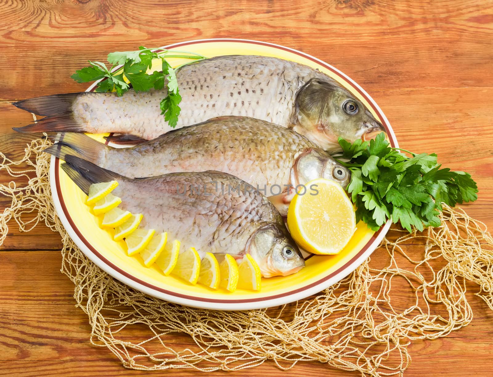 Carp and crucians different sizes with peeled scales and prepared for cooking, slices of lemon and parsley twigs on the yellow dish and part of the fishing net on a surface of the old wooden planks
