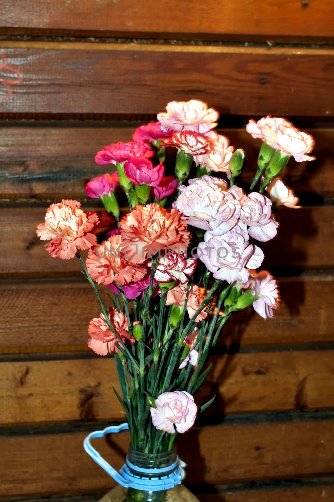 bouquet of colorful carnations on a simple wooden background