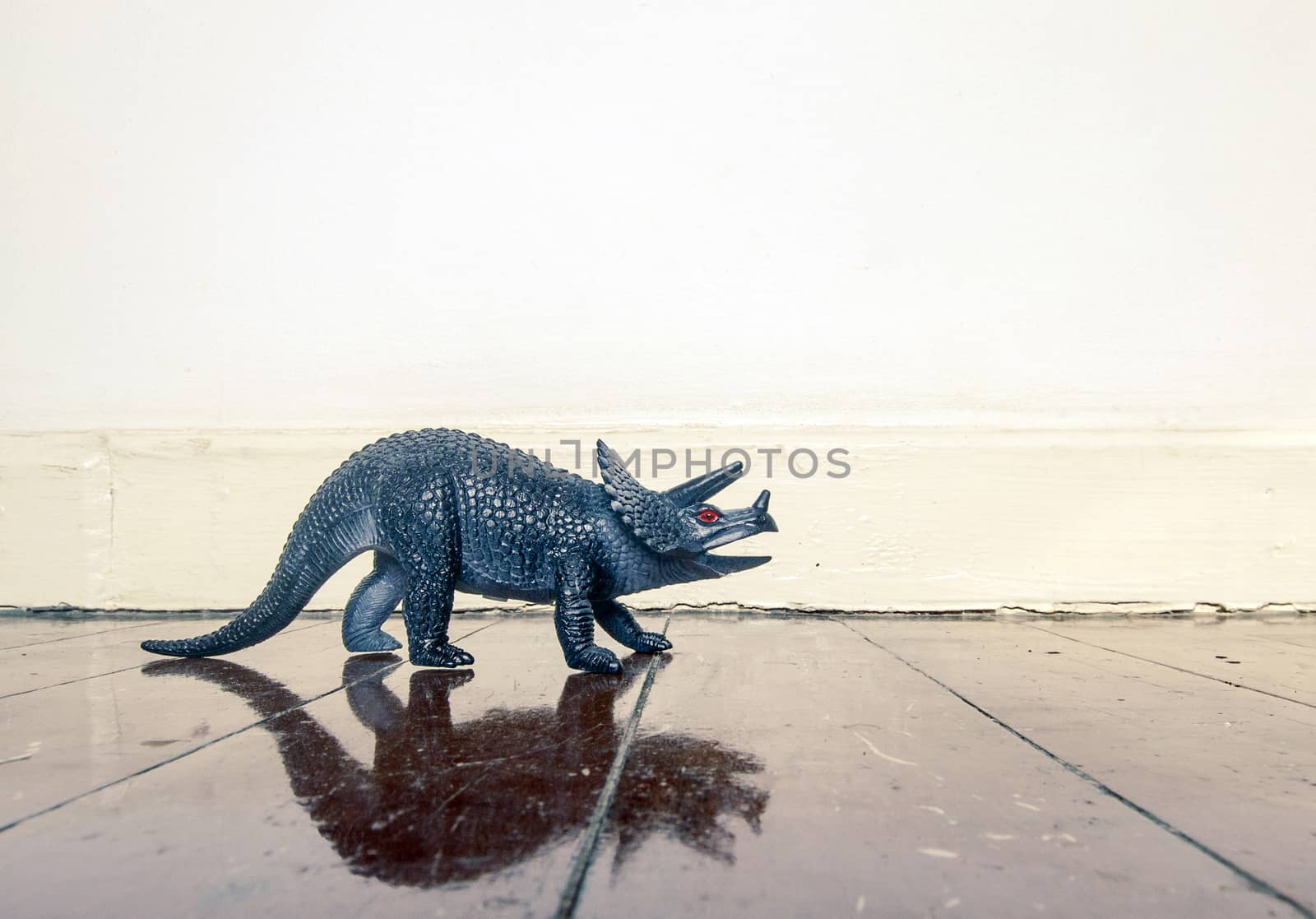 Styracosaurus dinosaur on a wooden floor with reflection