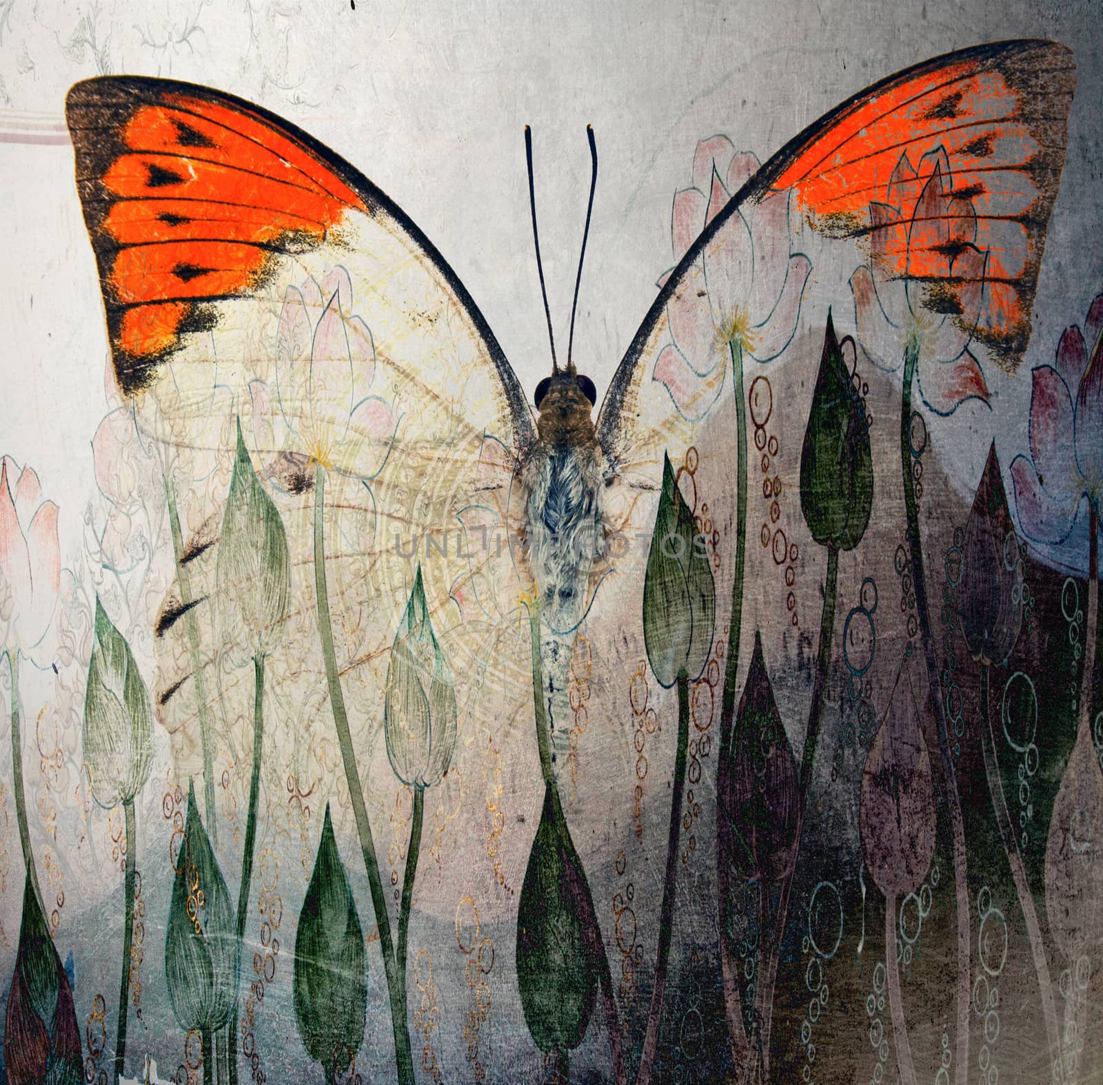 a grunge butterfly design wallpaper  by davincidig