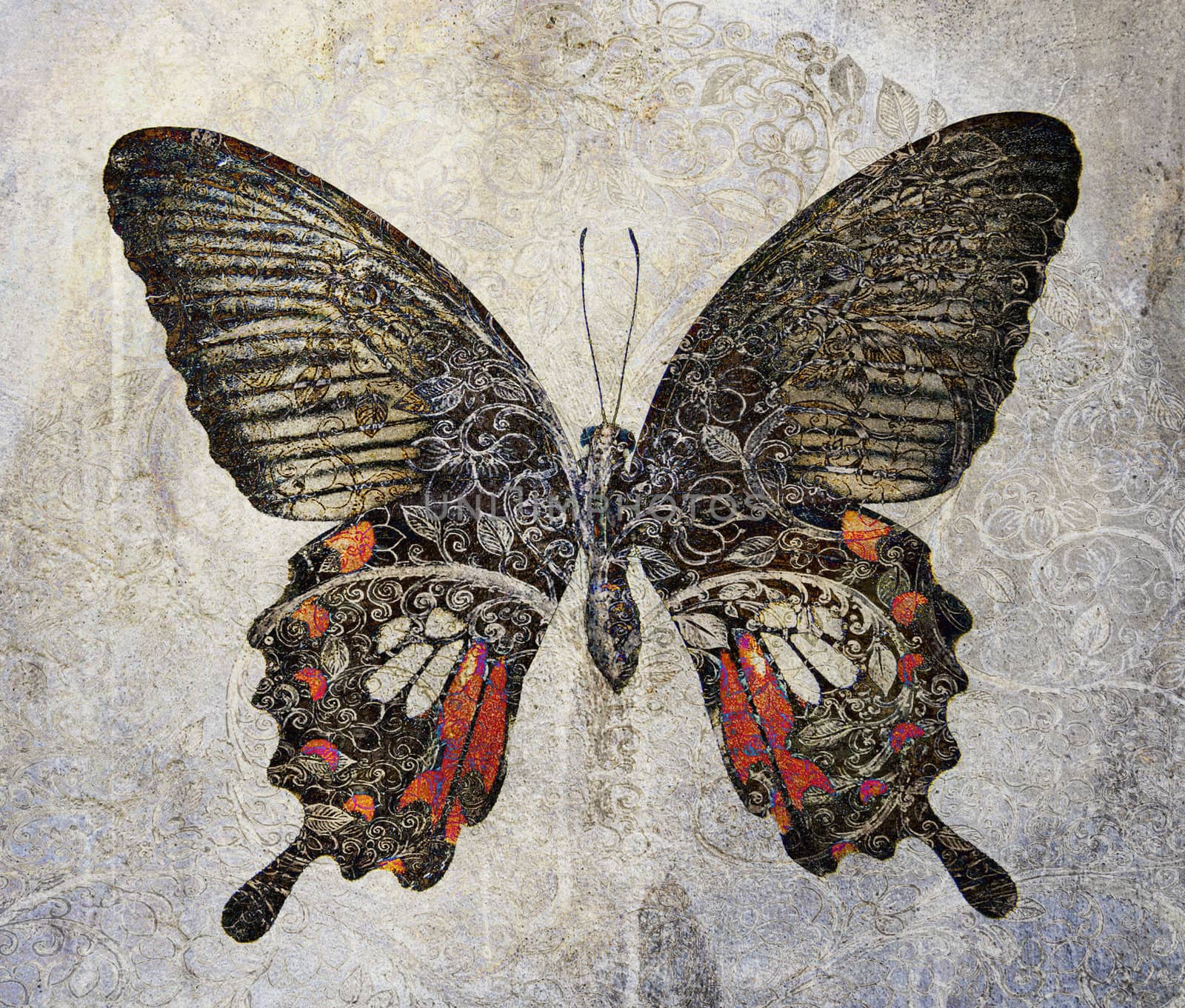 a grunge butterfly wallpaper texture  by davincidig