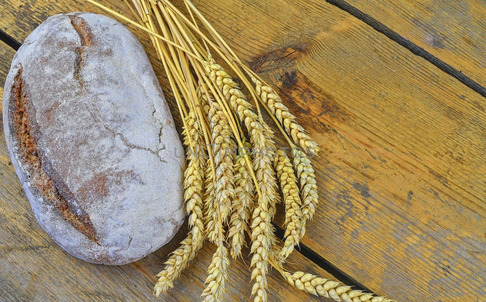 Loaf of bread and ears of grain on wood background. Rustic and rural concept. Copy space.