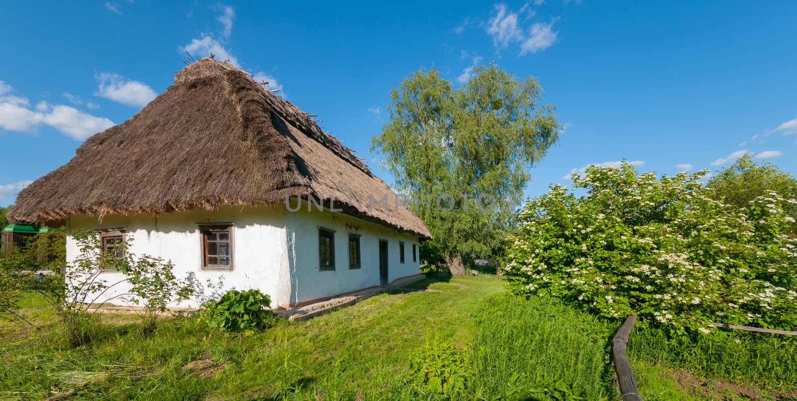 House under a thatched roof with white walls in the countryside against a blue sky.