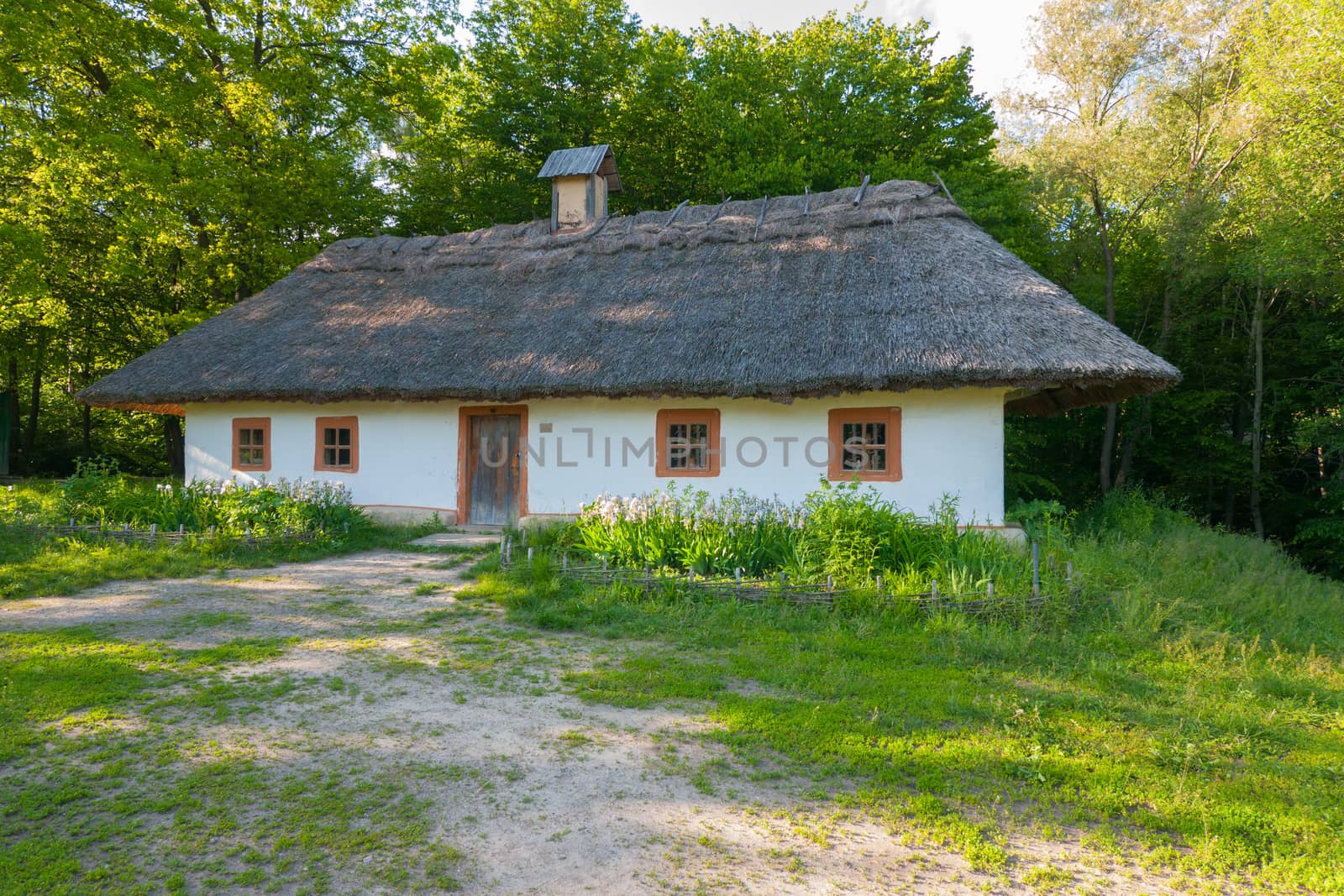 An old authentic Ukrainian hut with white walls and a thatched roof against the backdrop of a green garden