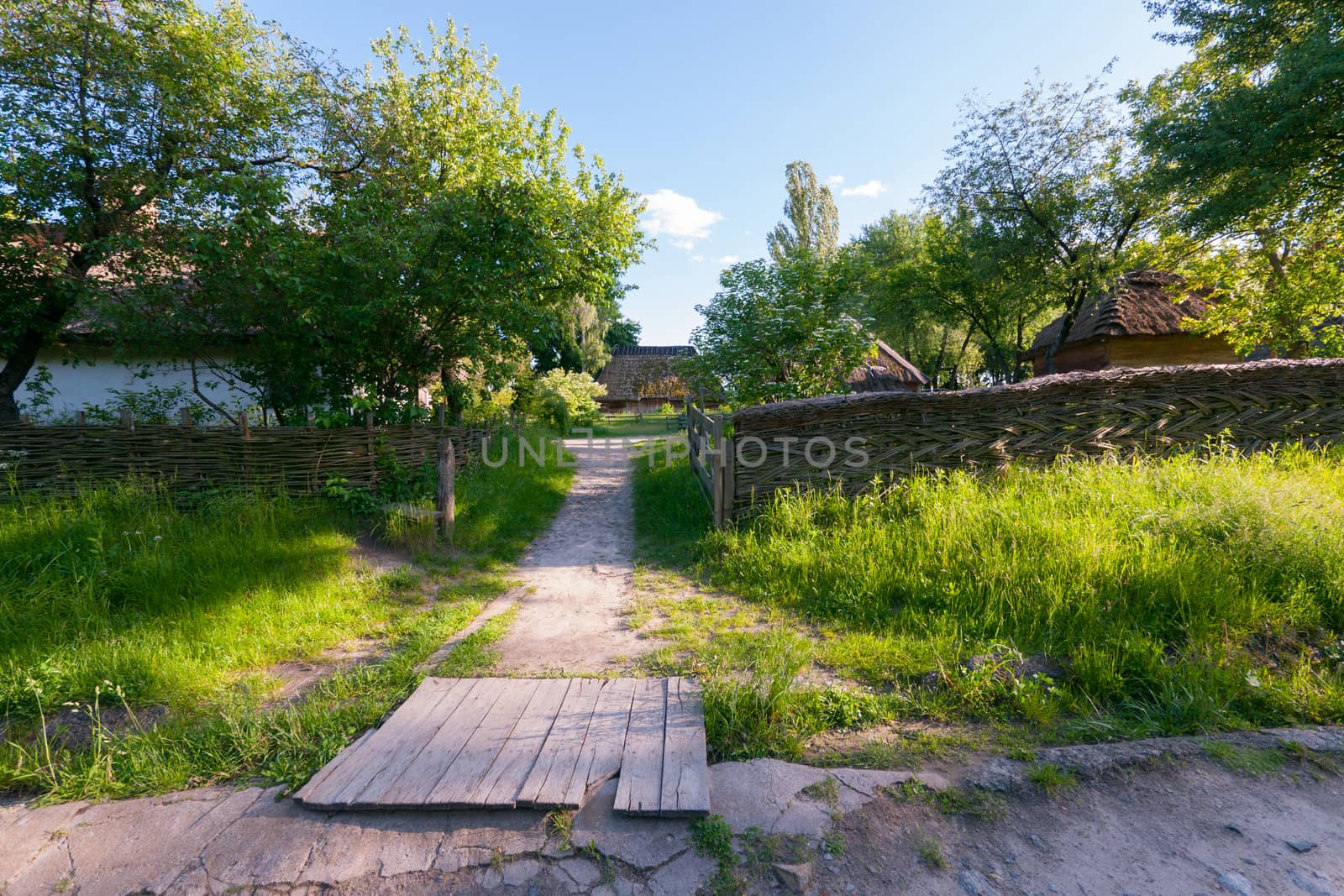 Rural houses on a green grass carpet in the shade of fruit trees