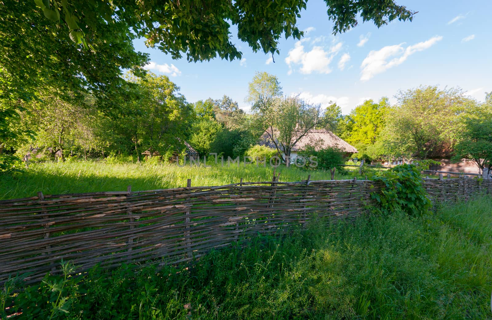 Beautiful landscape of green trees against a blue sky. Standing behind the fence and near the house with a thatched roof.