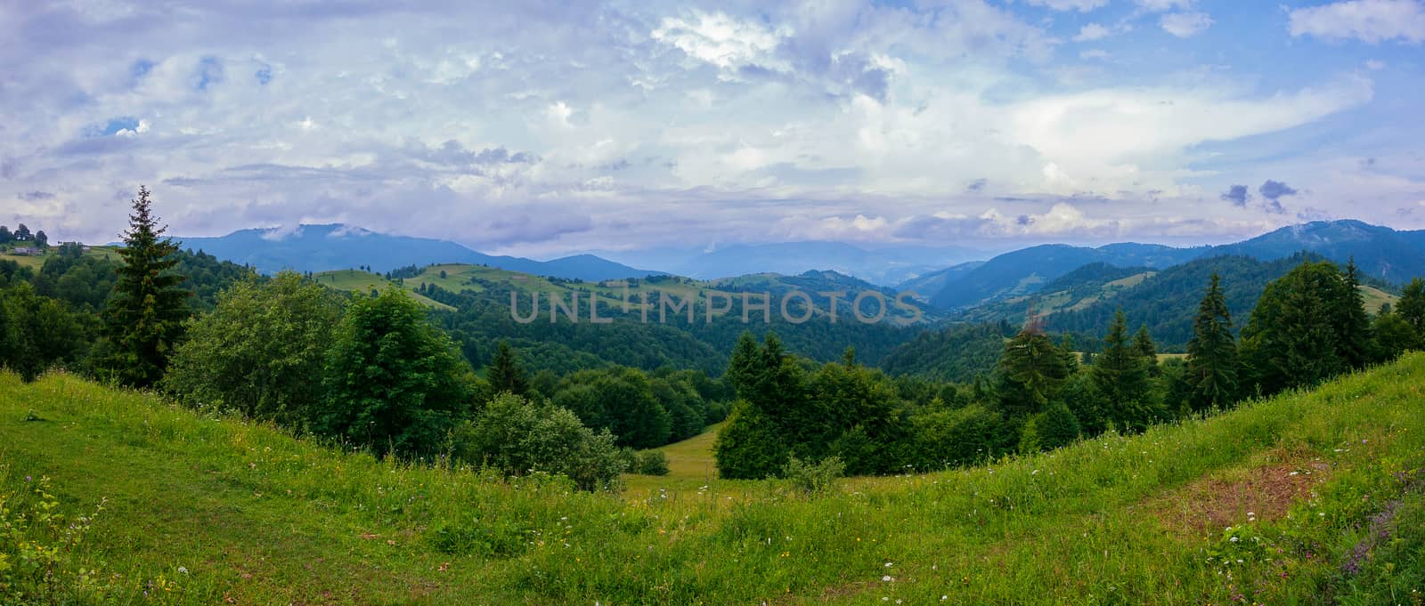 A green grassy meadow against a background of green mountains and a blue and white sky