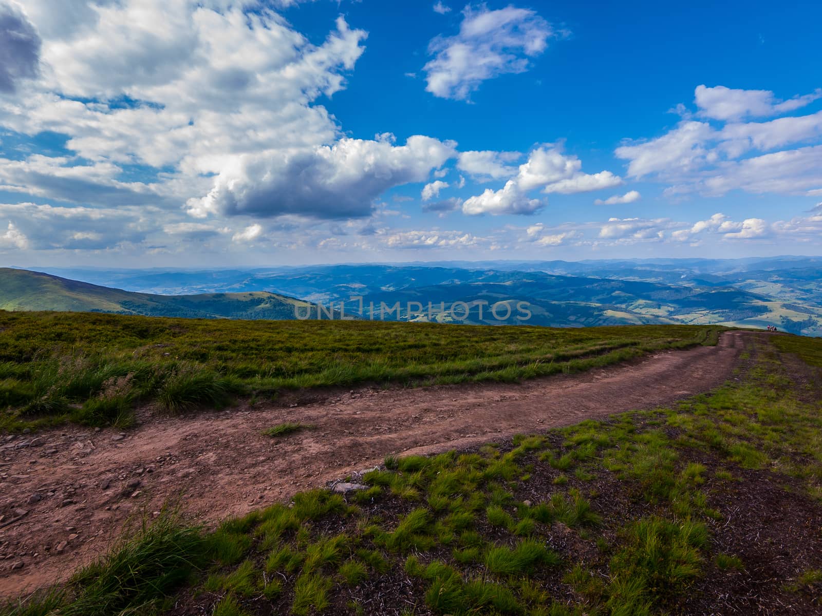 A dirt road in the middle of a blue sky with white clouds. A pleasant place for walking and solitude