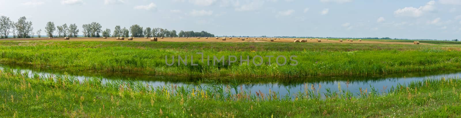 A small river channel against a background of green grass and a golden field with haystacks in the distance by Adamchuk
