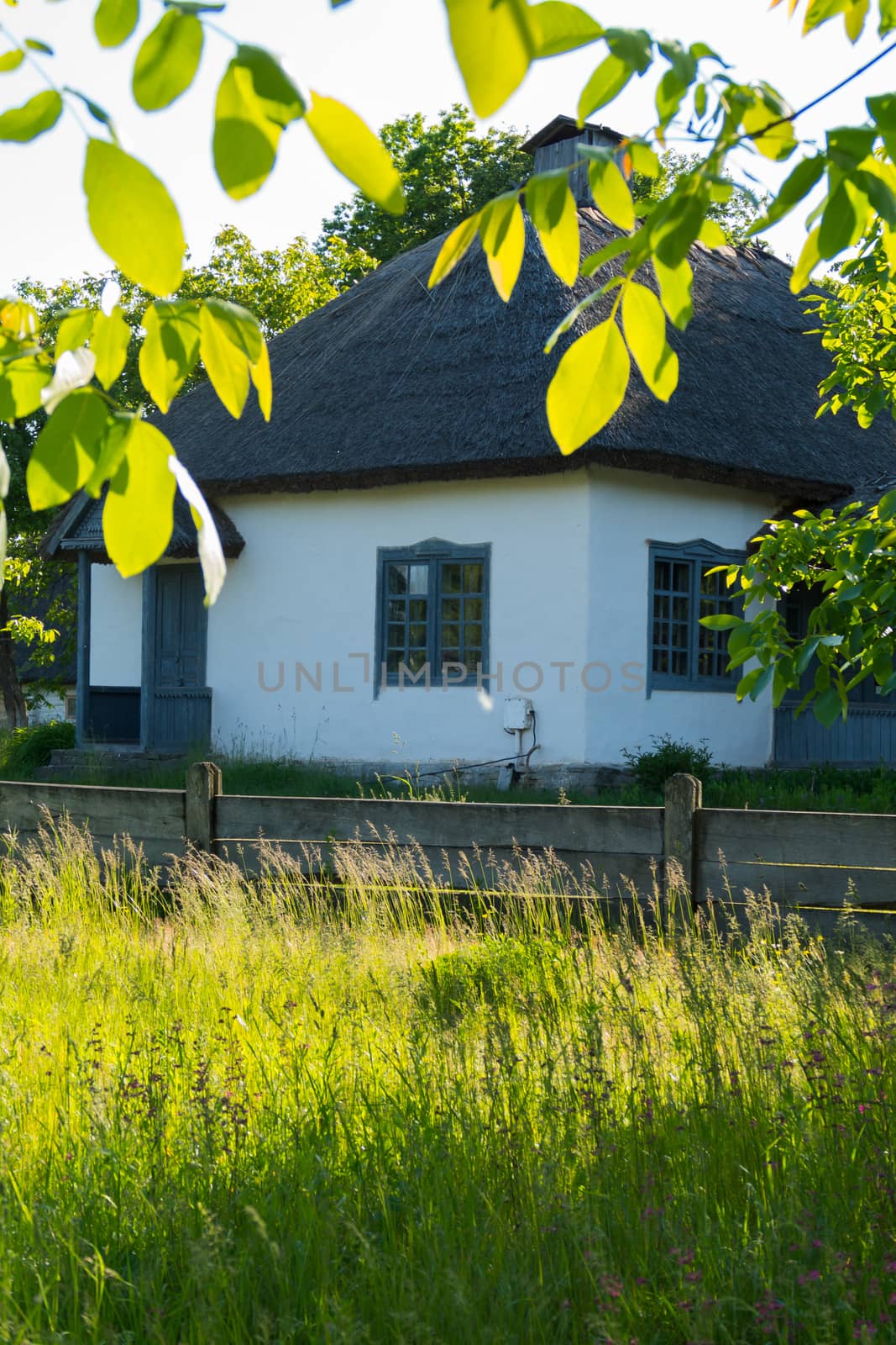 Authentic national Ukrainian hut in the shade of green trees and bushes