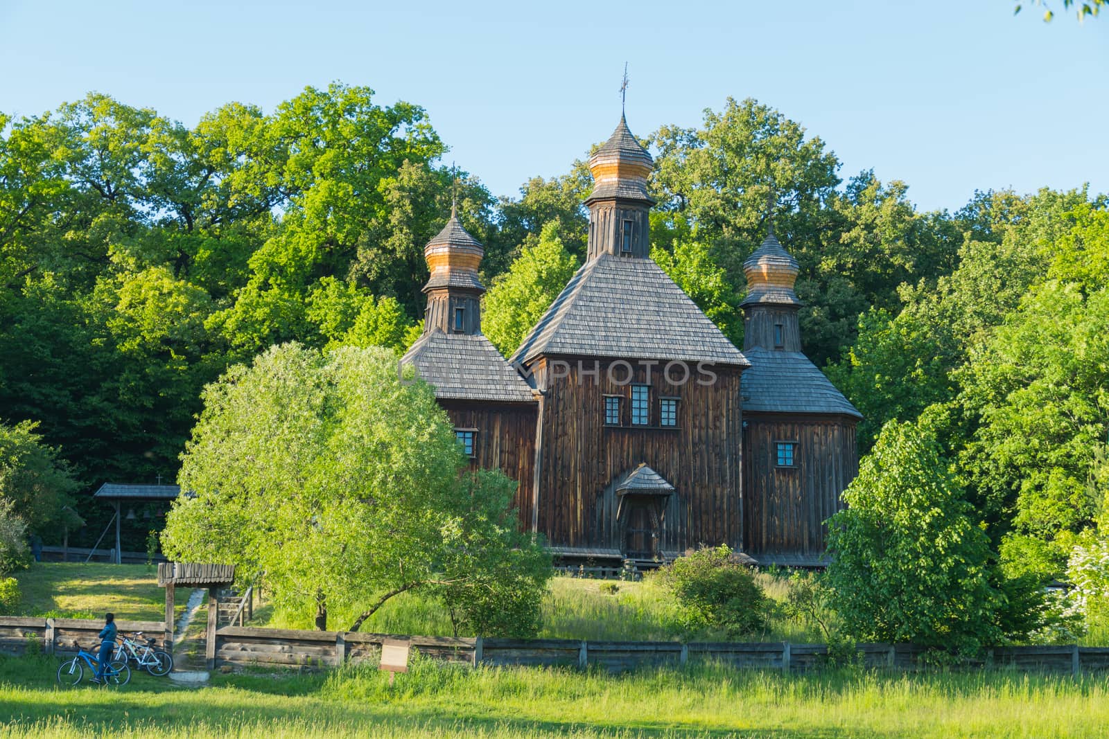 An ancient wooden church with three domes in the shade of lush green trees