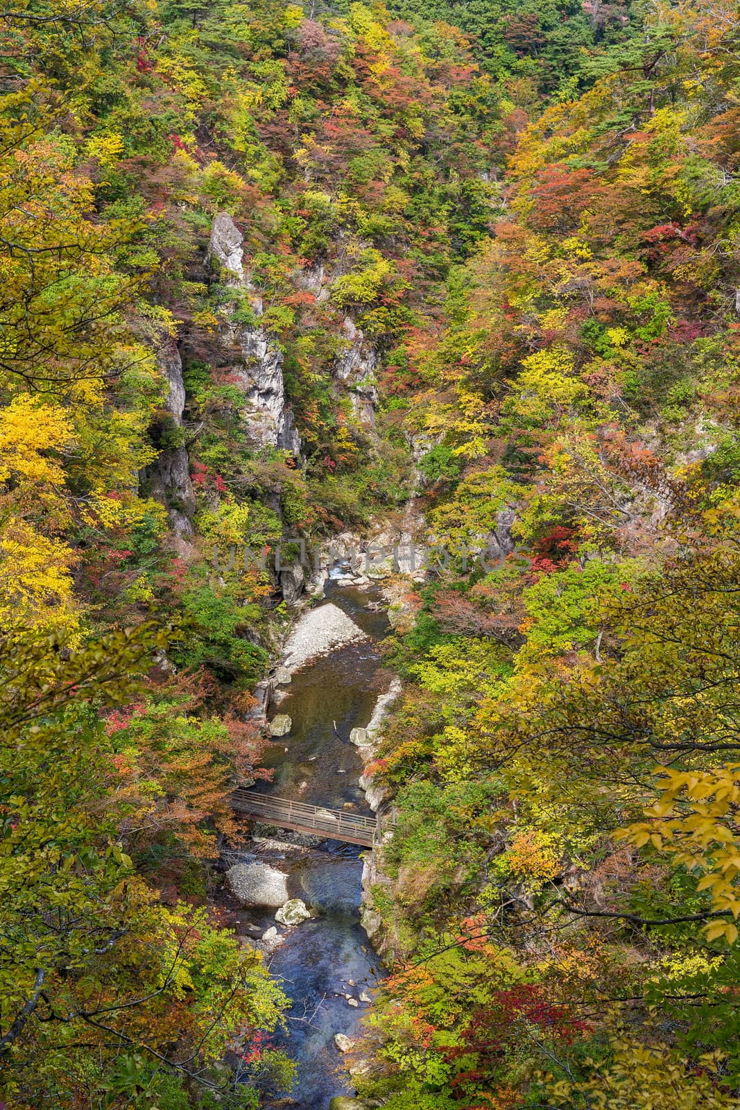 Naruko canyon with autumn foliage in Japan by leungchopan