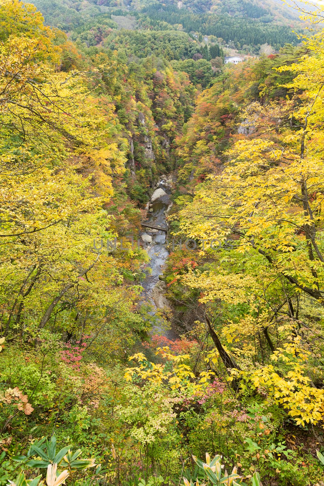 Rocky cliffs in Miyagi