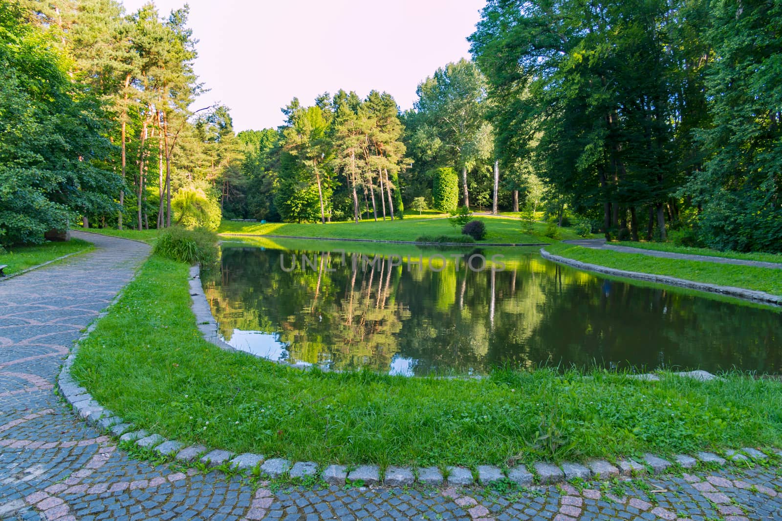 A clean decorative lake in the middle of a walk alley against the backdrop of the forested park trees by Adamchuk