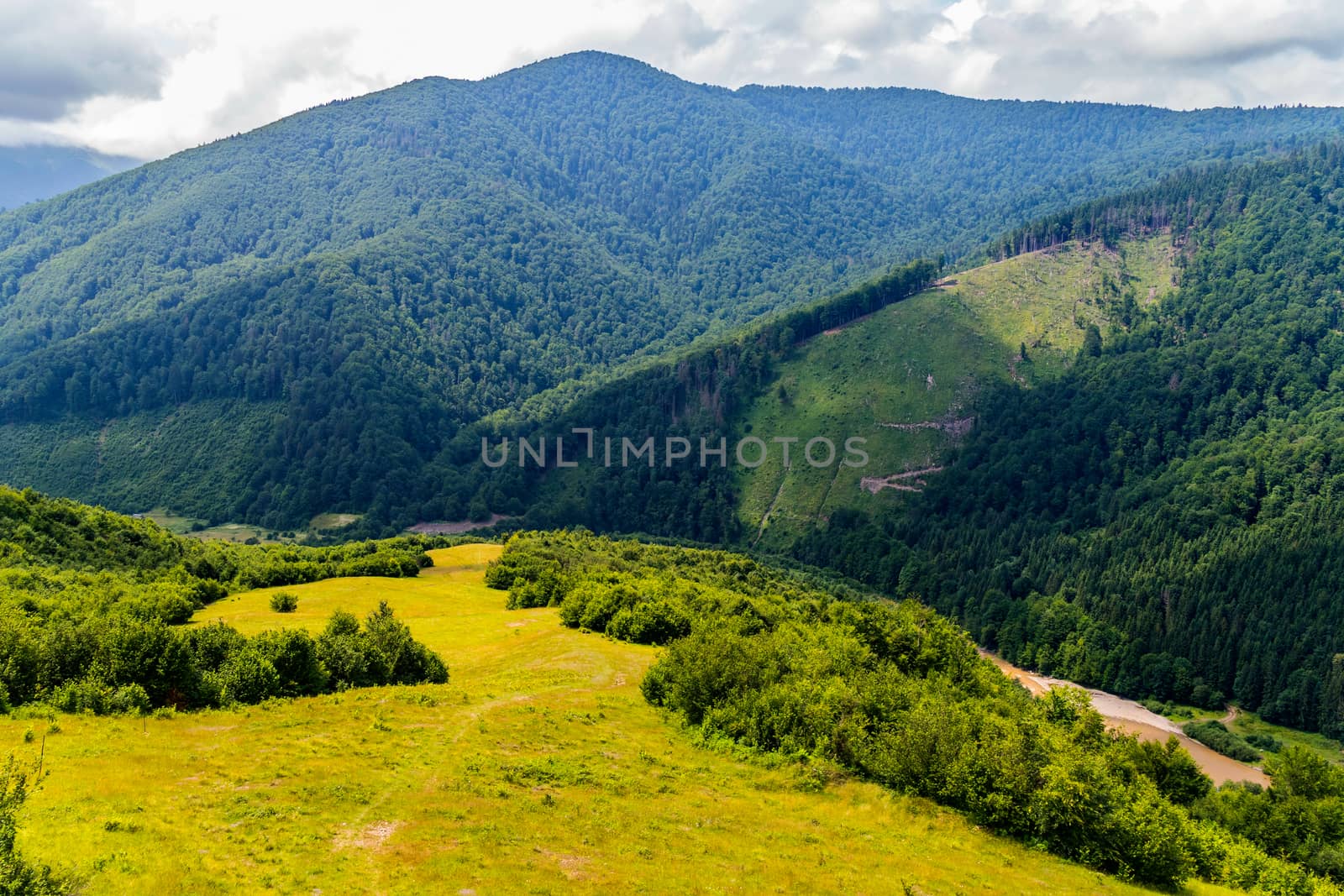 beautiful landscape on the Carpathian mountains with a river in the valley over which the shadows of clouds by Adamchuk