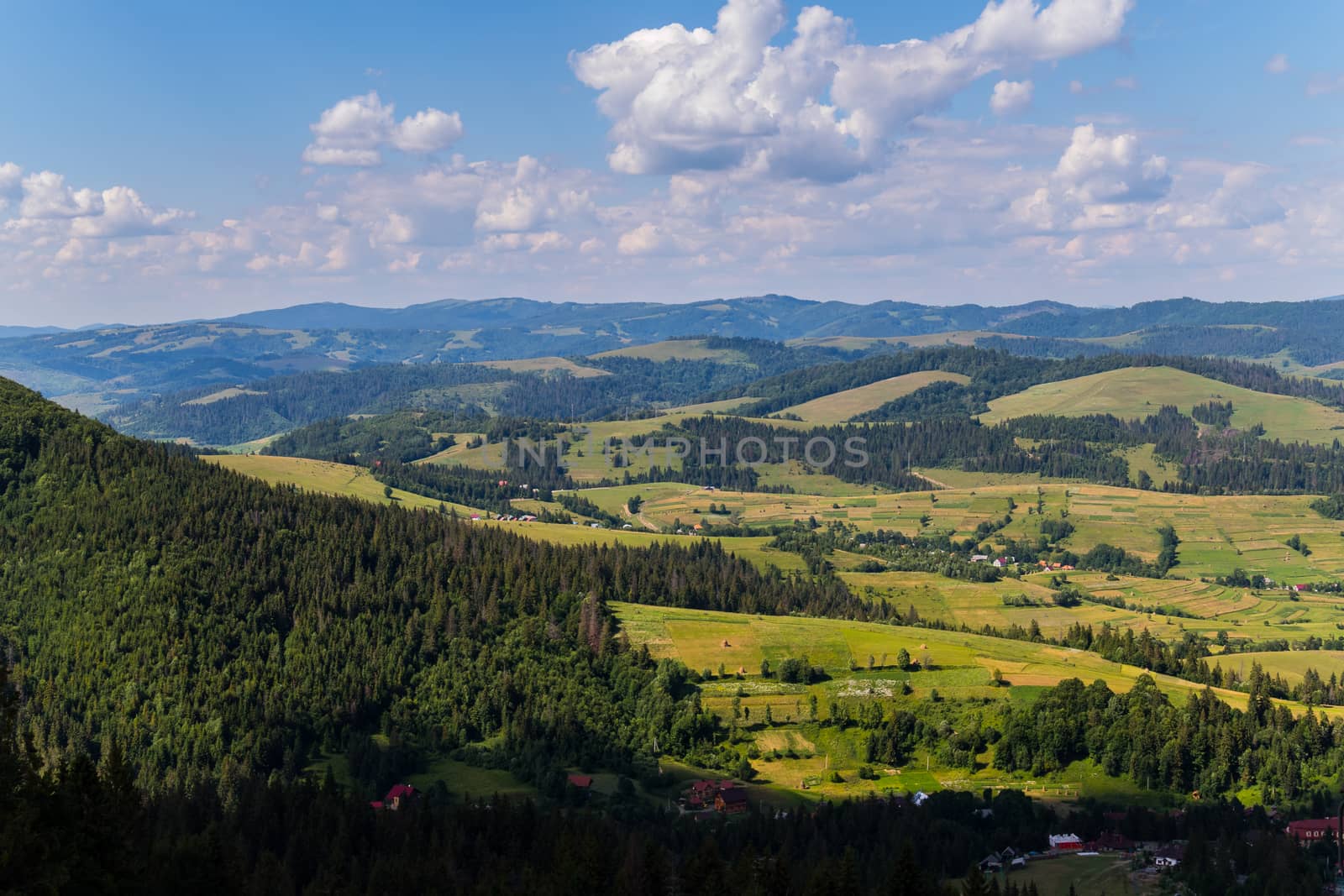 A green valley with a coniferous forest on one side and high mountains covering the horizon on the other by Adamchuk