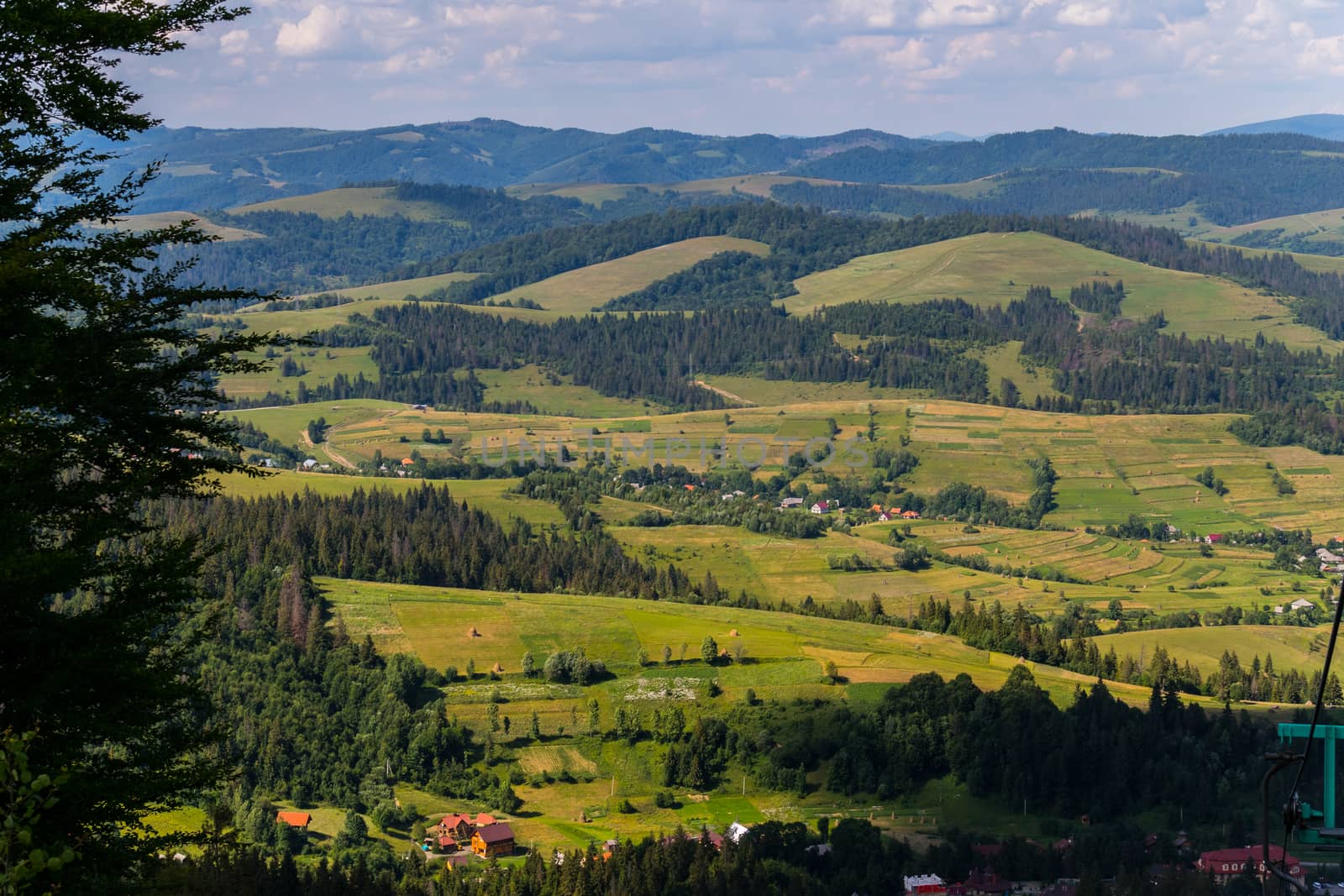 A panorama of green hills with dark spots of high wood in the Carpathians