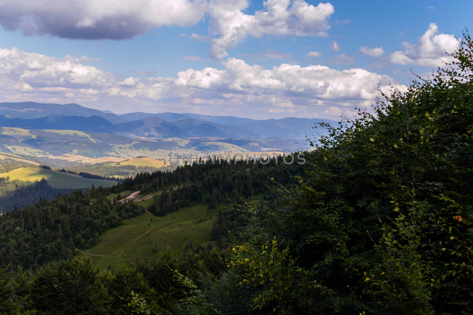 mountain ridge in the Carpathians under the shadows of floating clouds in the sky