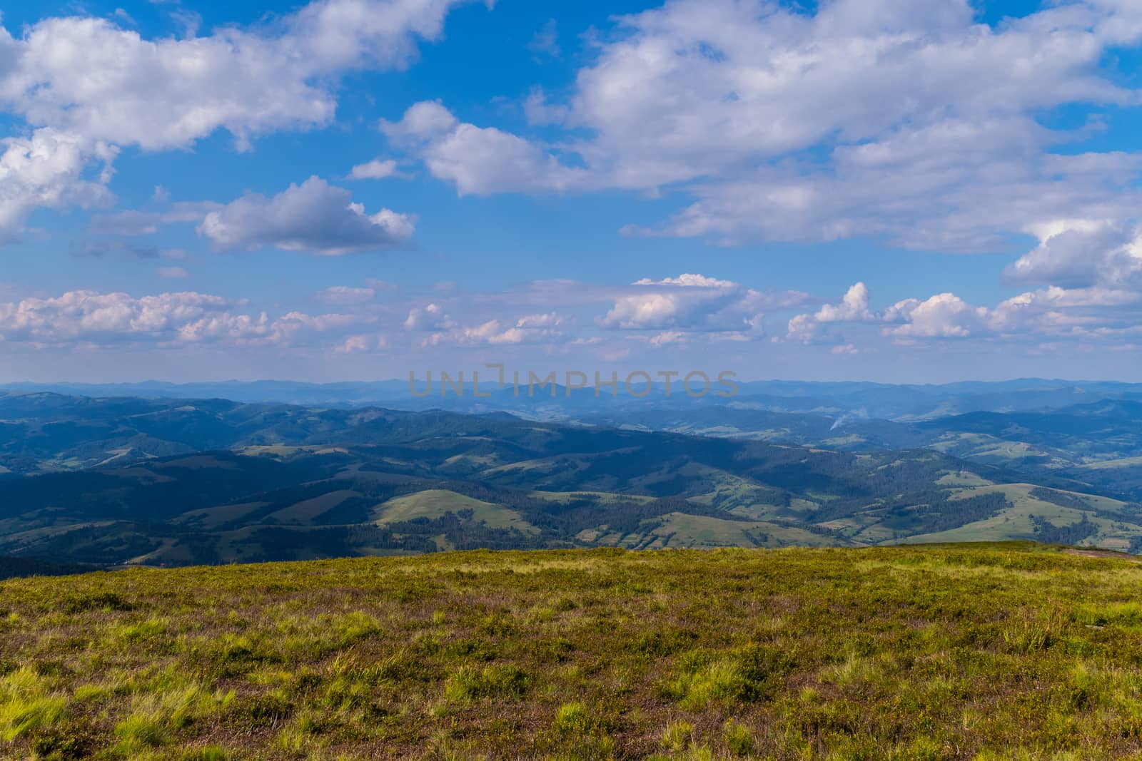 view from the top of the mountain on the boundless expanses of mountains and hills of green Carpathians with blue sky by Adamchuk