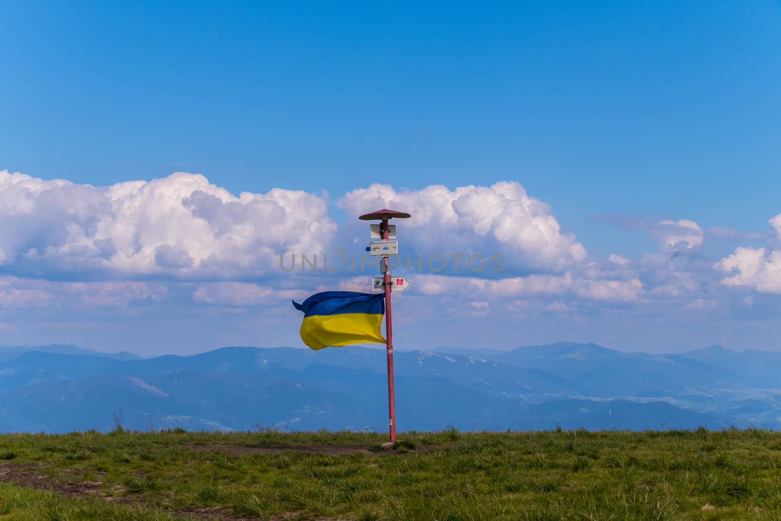 Direction sign with the Ukrainian flag on top of the green mountain by Adamchuk