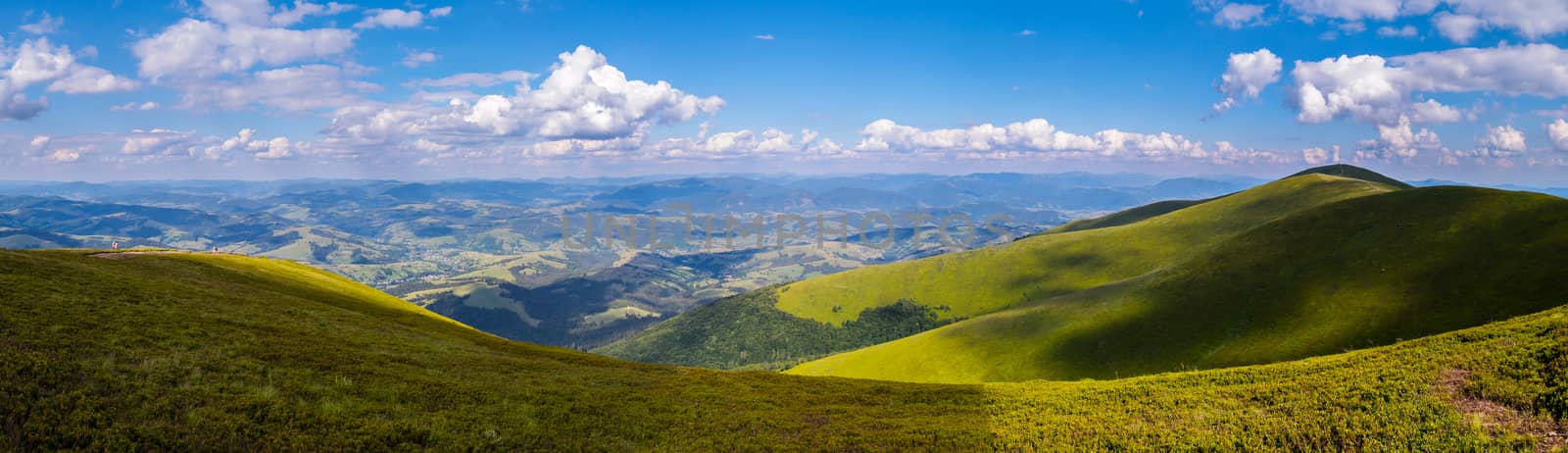 panorama of mountain peaks and forest plains by Adamchuk