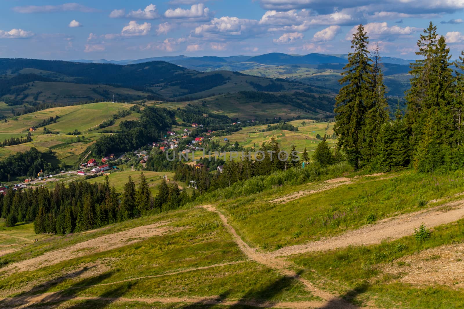 a path leading to the Carpathian village through a coniferous landing