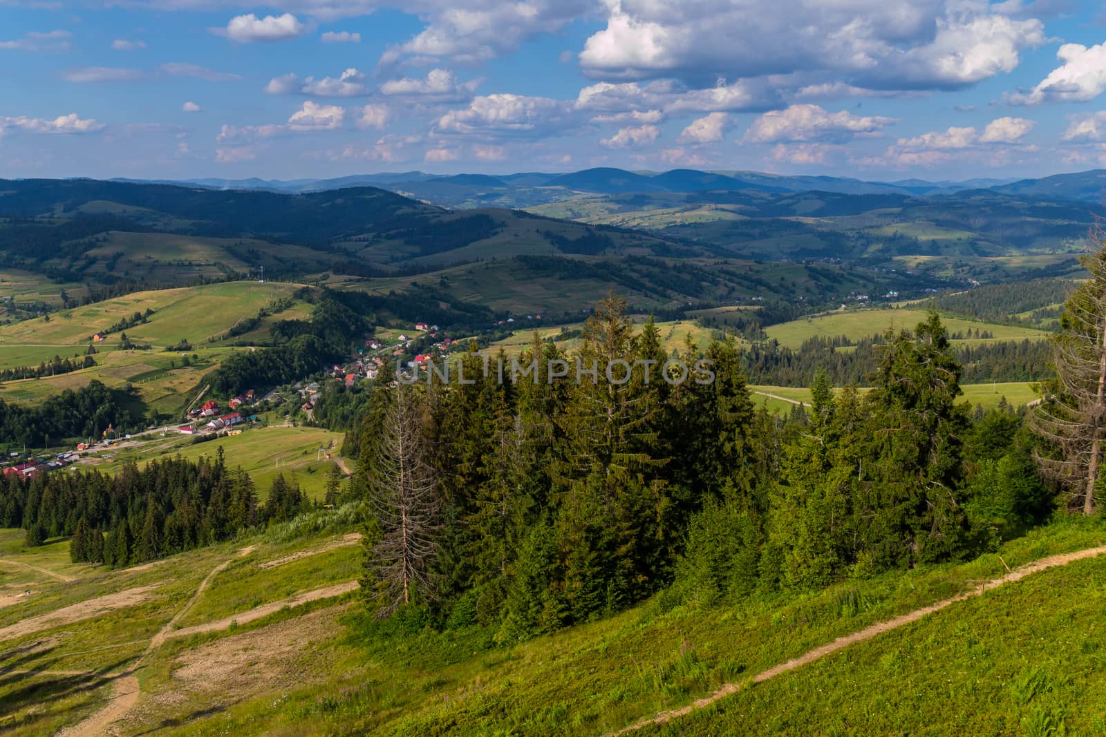Mountain slope with coniferous groves in the background of the mountains