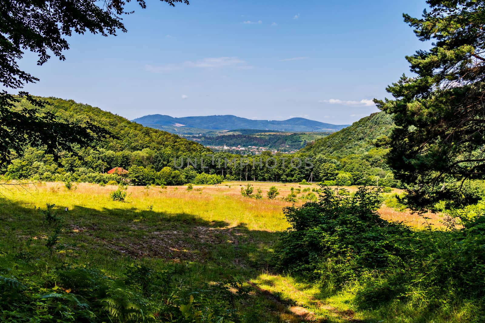 The glade between the hills is lit by the bright sun in the summer. Convenient place for camping