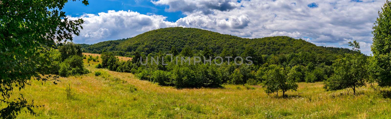mountain, covered with green trees, under a blue sky with clouds