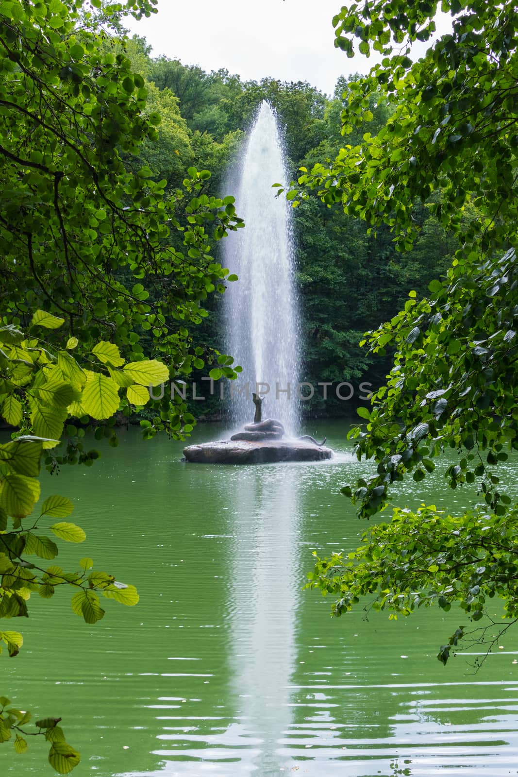 Beautiful fountain with a transparent stream of water beating up to the very tops of trees growing on the shore of the pond.