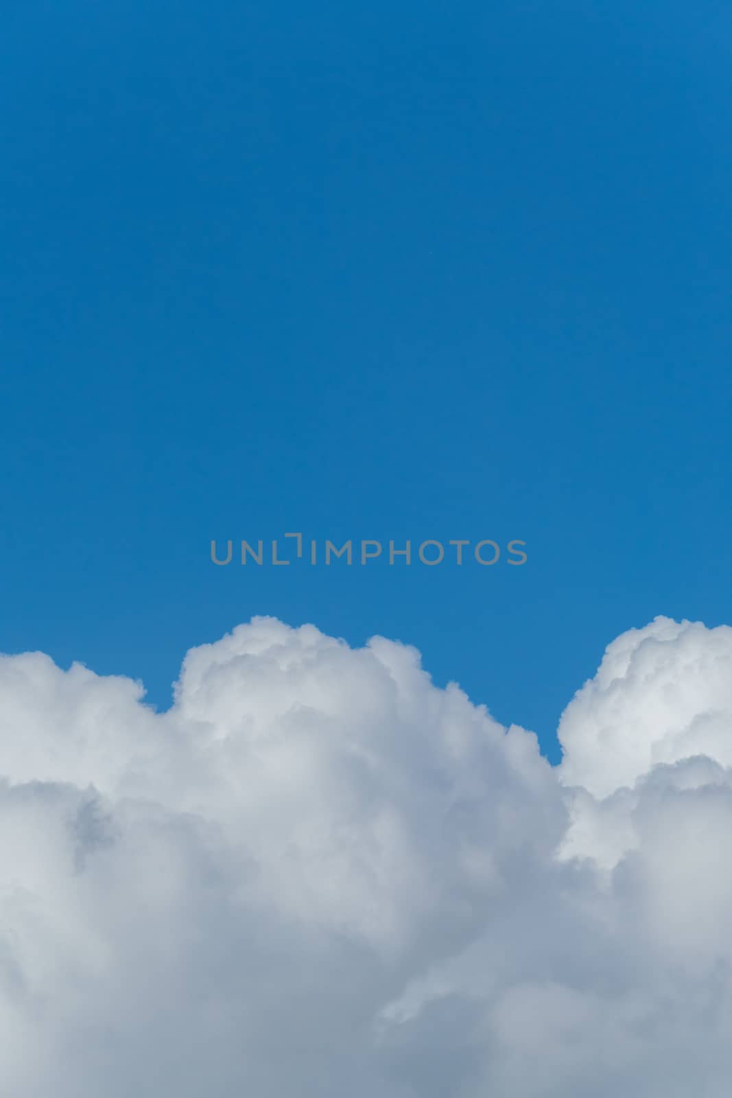 Lush massive white clouds against the background of the endless blue sky