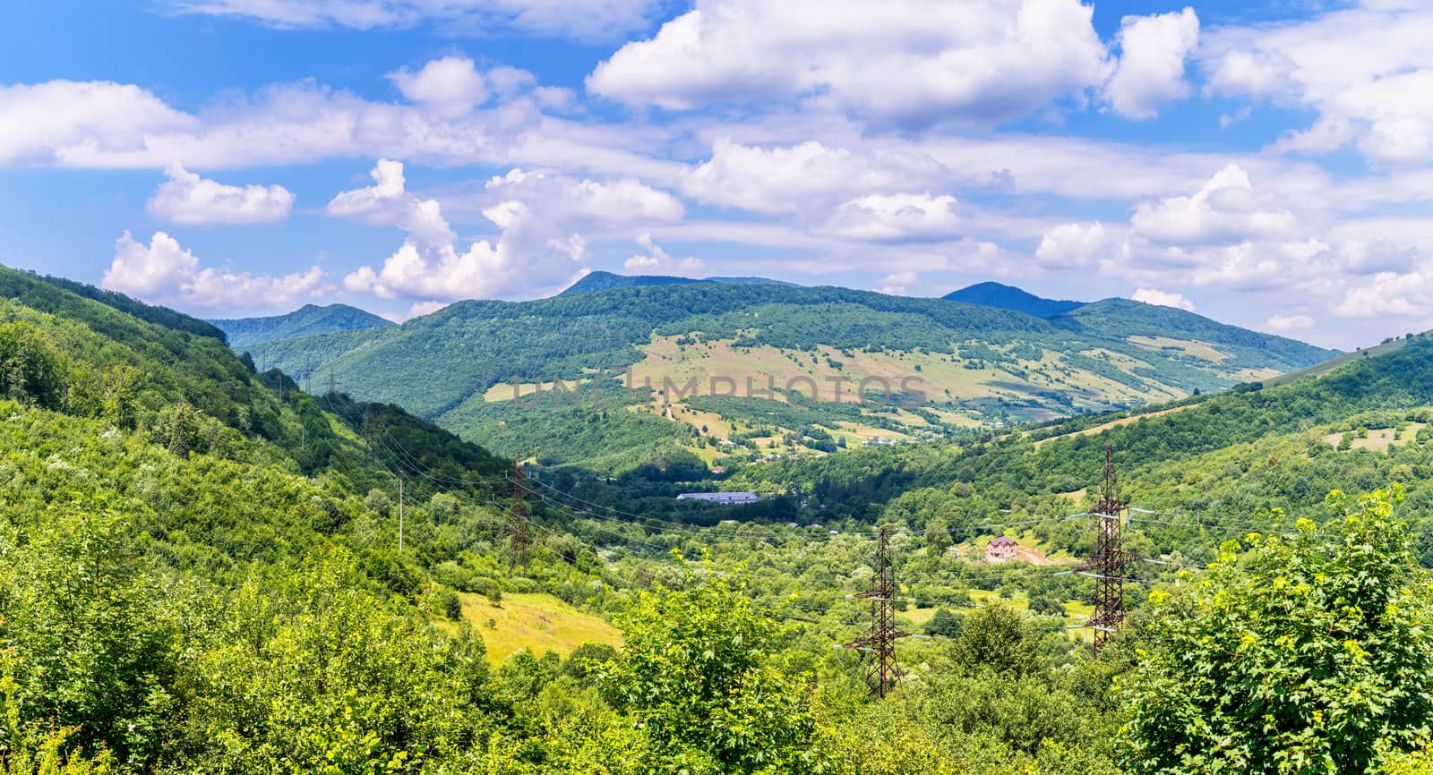 Power lines are stretched out by a green mountain range over the trees