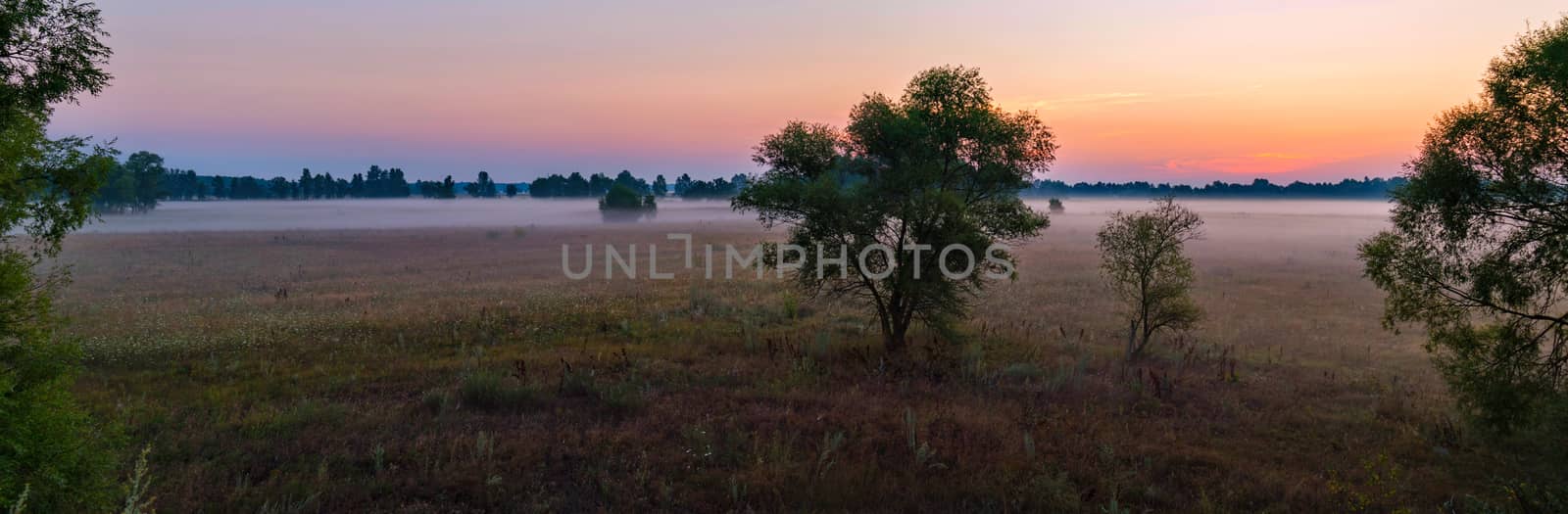 Beautiful, pink sunrise in the field. The night mist has not yet scattered, and the sun's rays are already starting to peer by Adamchuk