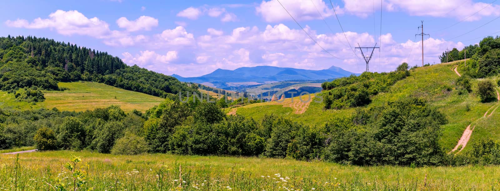 ripe fields on green mountain slopes, a landscape under a blue c by Adamchuk