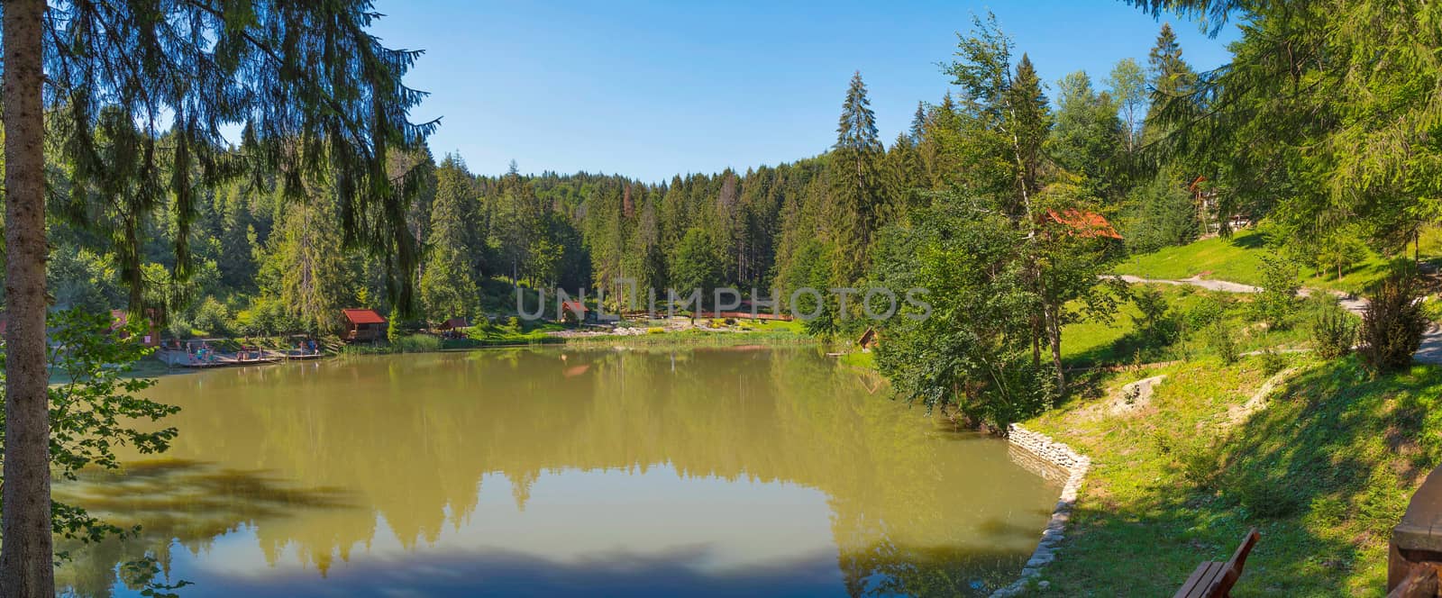 Green Lake in the middle of a large park area with houses and pl by Adamchuk