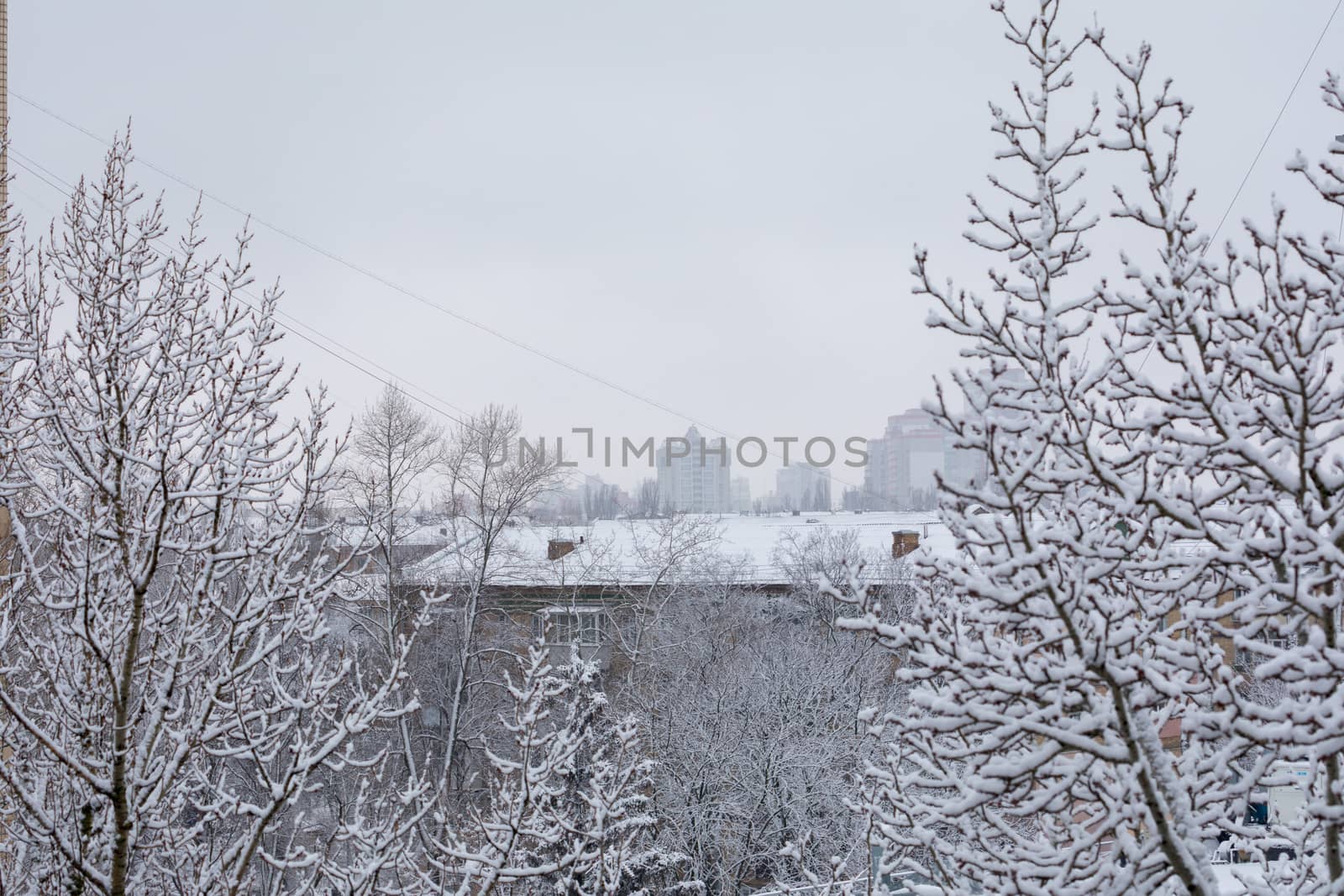 Snow-covered trees and roofs of houses in the background of the winter gray city