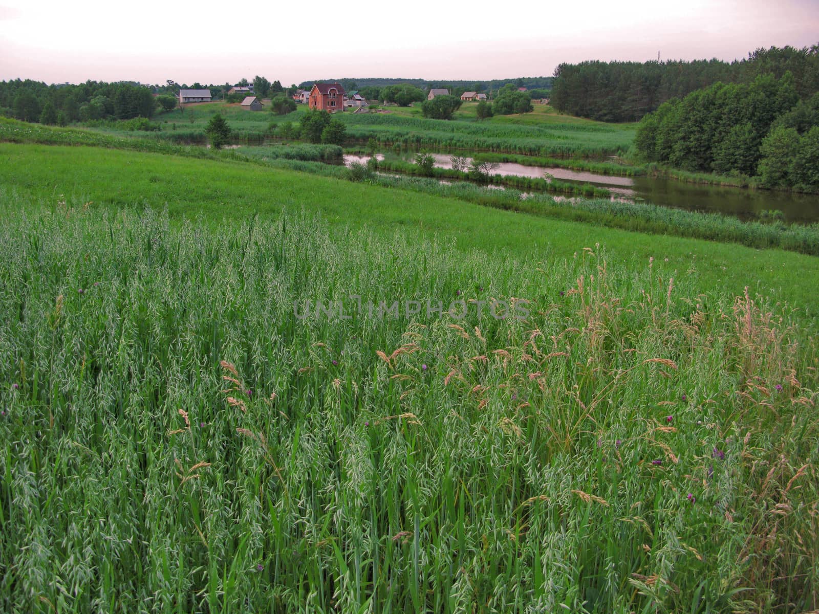 rural houses stretched near a river on a green carpet of grass