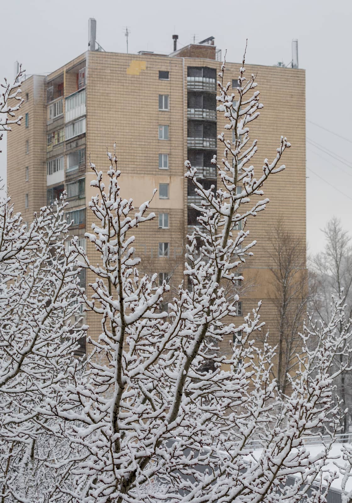 Domestic high-rise building on a background covered with a thick layer of snow, wood
