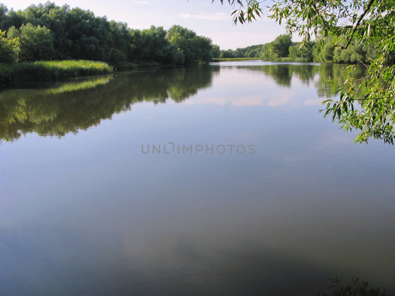 Deep, cool pond. The smooth surface of the water