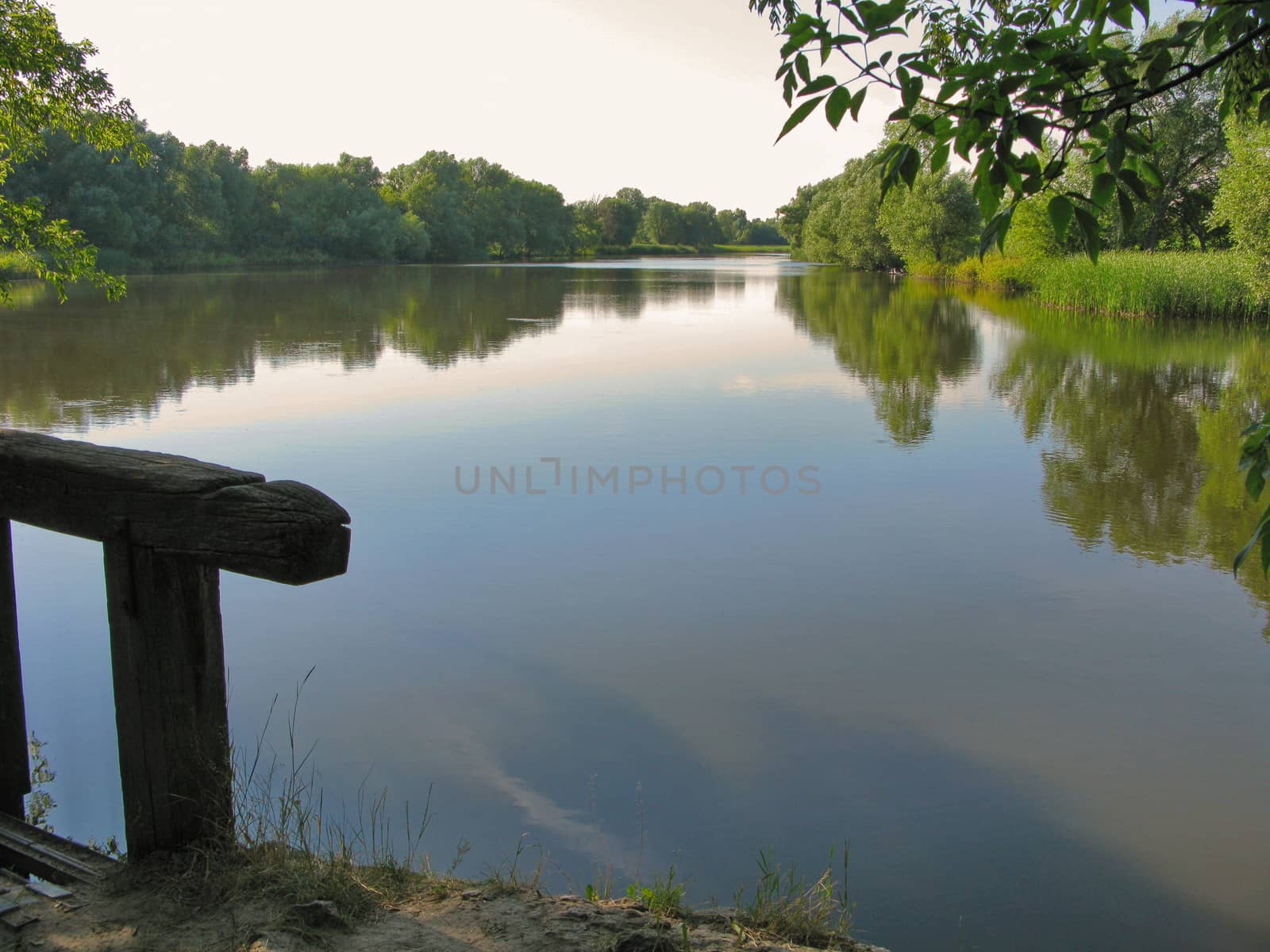a wooden bridge over a river, on the banks of which grow shallow willows and reeds. A wonderful place and a sunny day for fishing and wildlife