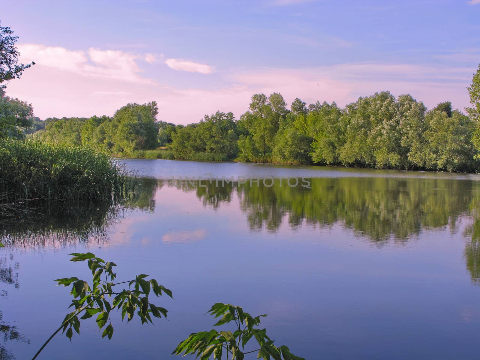 A forest lake with blue water because of the sky reflected in it