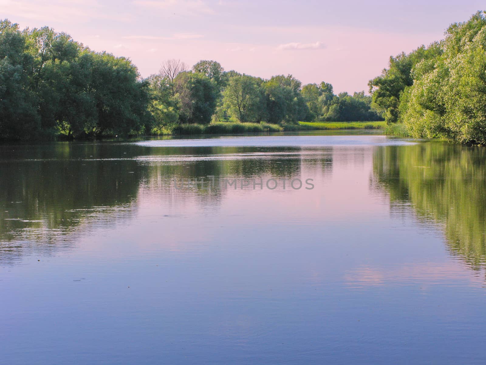 the quiet smooth surface of a small bay overgrown with trees along the shore