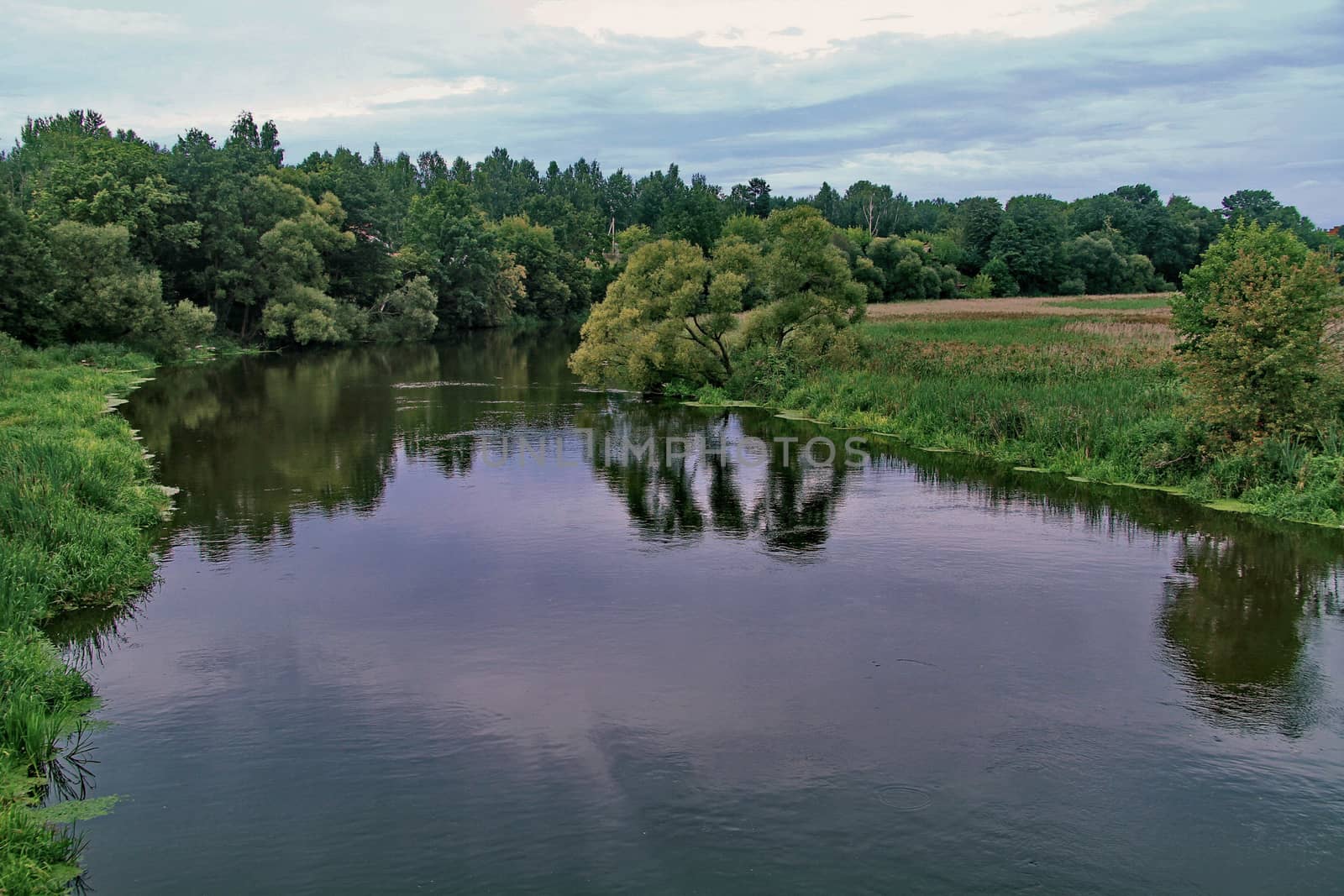 Transparent water surface, dividing the green forest zone into t by Adamchuk