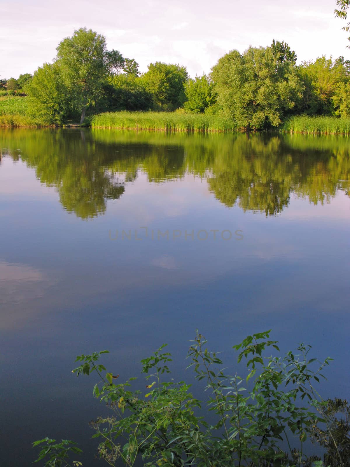 A wonderful transparent river, dividing two picturesque green beaches